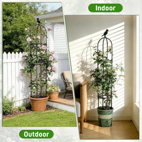 Anothera climbing-plants support helps clematis and jasmine grow upward neatly.
