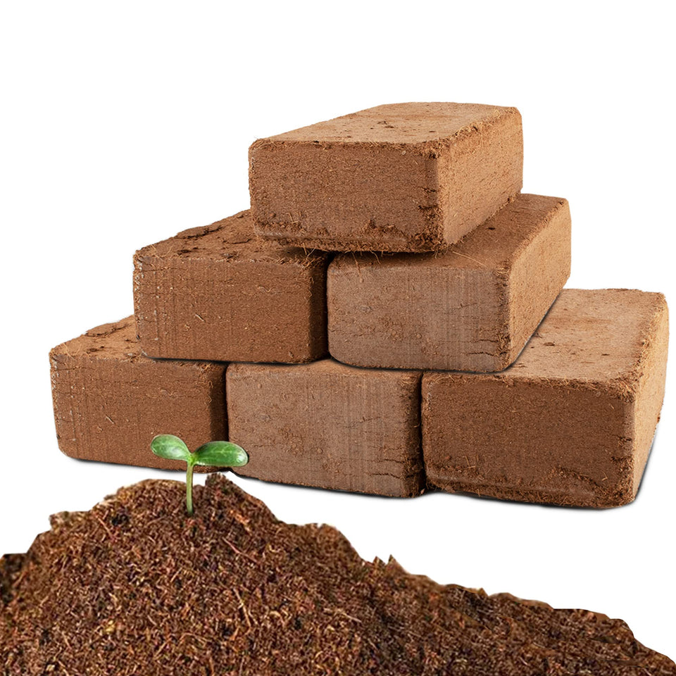 Anothera Coco Coir Brick 6-pack expands for space-saving urban gardening.