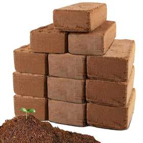 Anothera Coco Coir Brick expands into rich planting medium for seedlings
