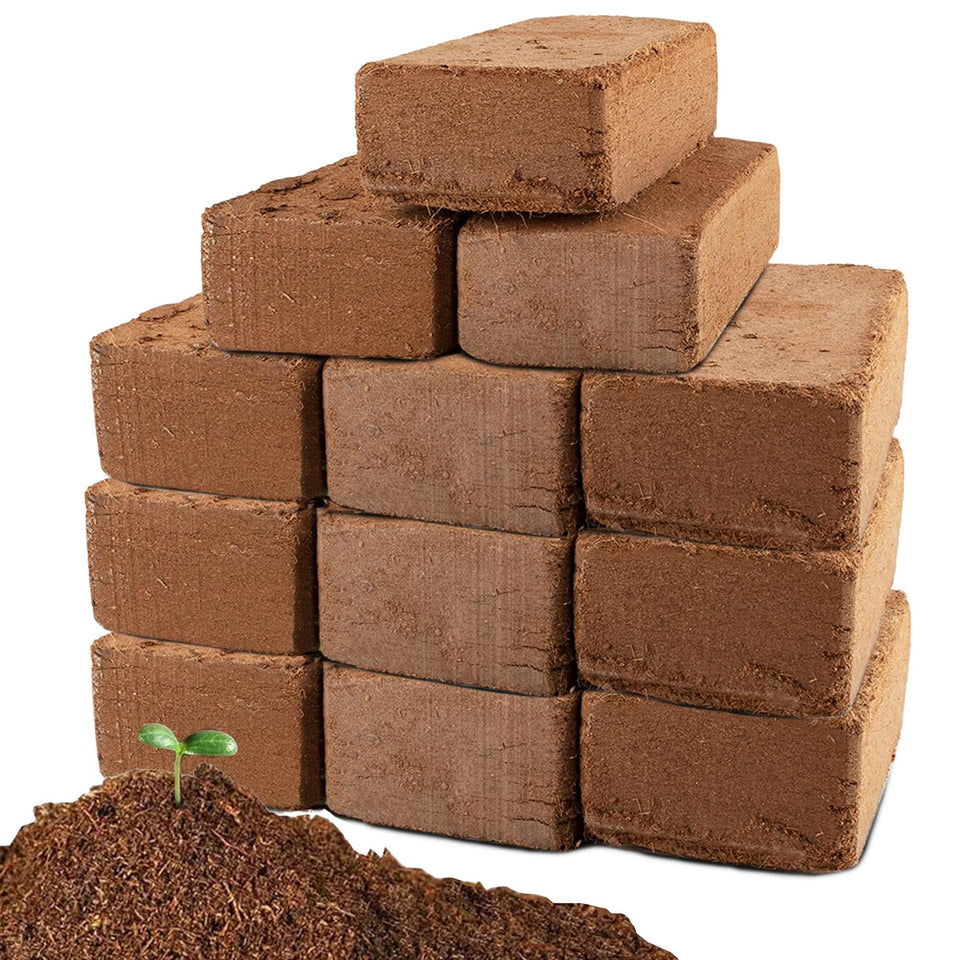 Anothera Coco Coir Brick expands into rich planting medium for seedlings