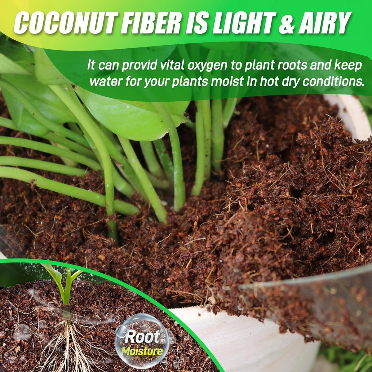 Anothera Coco Coir Brick is heat-treated to remove impurities for healthier plants