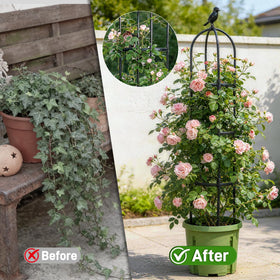 Anothera decorative black obelisk adds garden flair while supporting climbers.