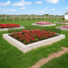 Anothera garden protection in action, shielding vegetables and flowers from animals.