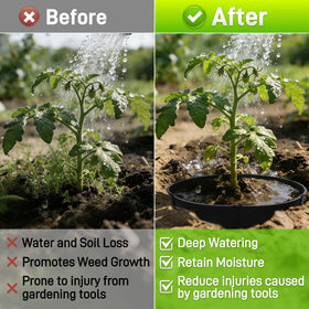 Anothera garden rings promote deeper watering by guiding moisture to roots.