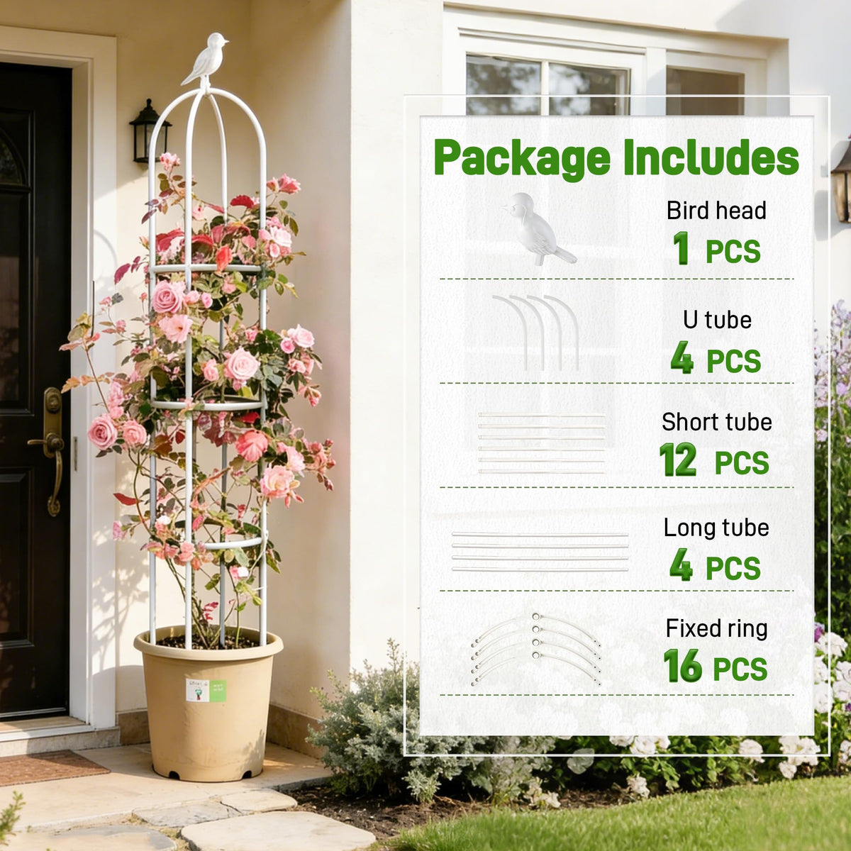 Anothera versatile outdoor indoor use enhances potted plant display