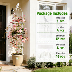 Anothera versatile outdoor indoor use enhances potted plant display
