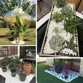 Anothera white stones decorative indoors and outdoors for styling