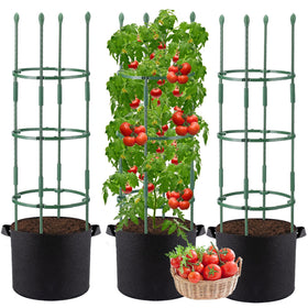 ANPHSIN 3-set tomato cage assembly demonstrates sturdy steel support for vertical growth.