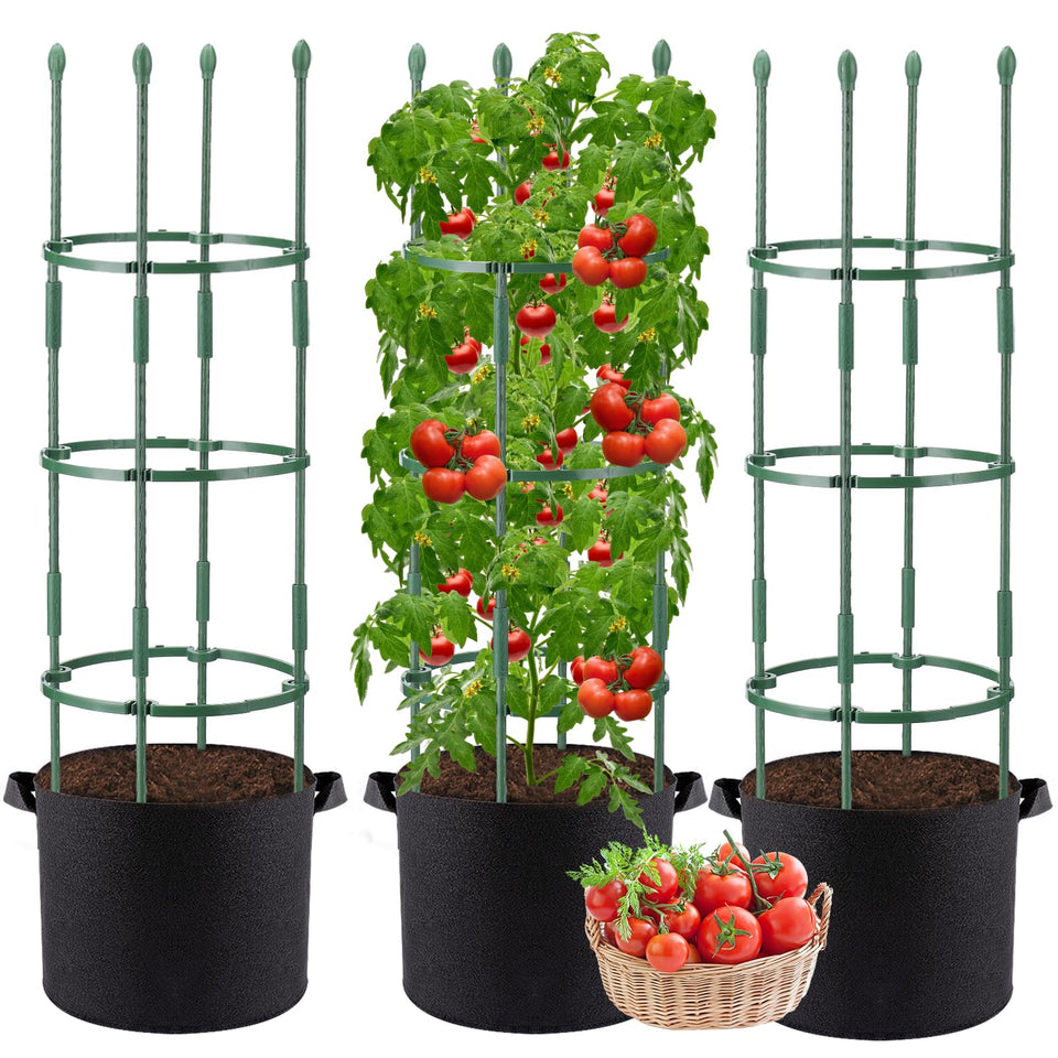 ANPHSIN 3-set tomato cage assembly demonstrates sturdy steel support for vertical growth.