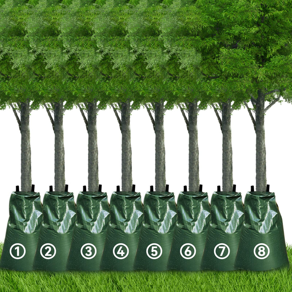 ANPHSIN 8-pack slow-release tree watering bags around the trunk for steady moisture