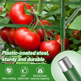 ANPHSIN adjustable-height tomato cage expands with plant growth