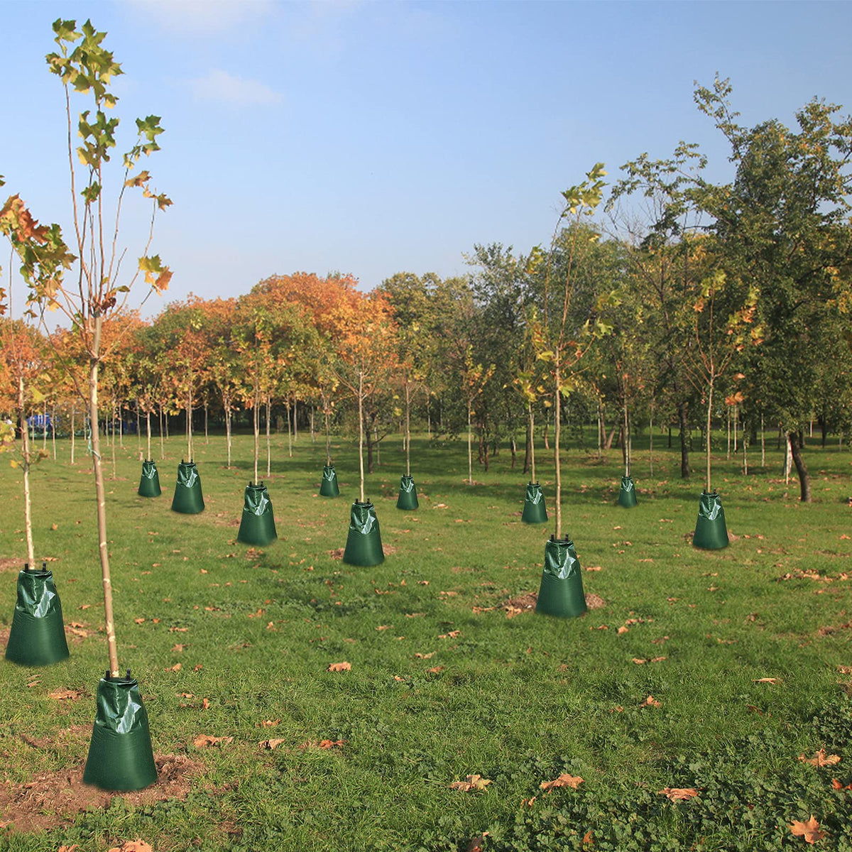 ANPHSIN bags excel in arid conditions, saving water while supporting saplings.