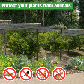 ANPHSIN black garden net helps protect beds without blocking airflow.
