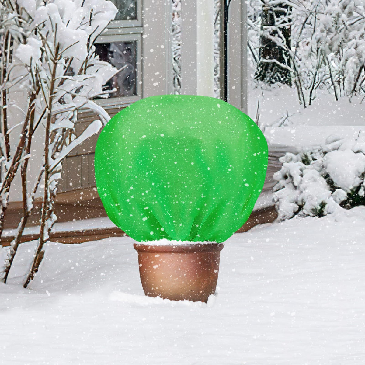 ANPHSIN cover placed on a low shrub during early spring growth.