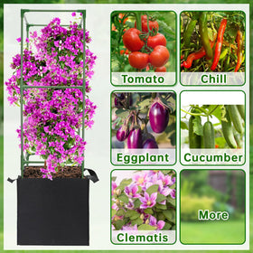 ANPHSIN eco-friendly non-woven grow bags support healthy root development.
