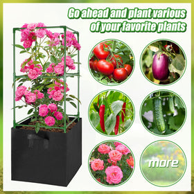 ANPHSIN ideal for indoor or outdoor climbing vegetables
