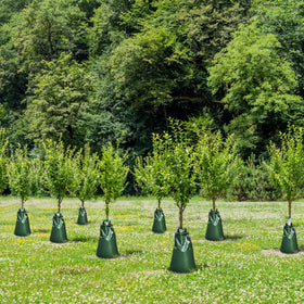 ANPHSIN watering bags compatible with nutrient solutions to support tree growth
