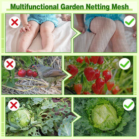ANPHSIN outdoor plants protection net keeps pests away while preserving sun exposure