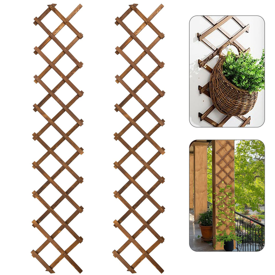 ANPHSIN pack-2 expandable wooden wall trellis closed for compact indoor setup