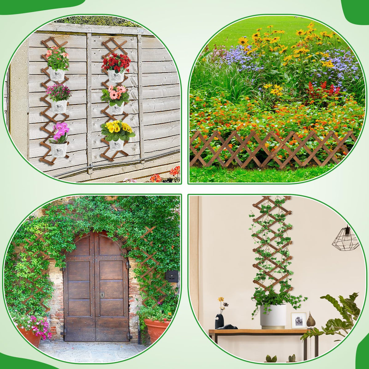 ANPHSIN pack-2 packaging ready delivery ensures safe transport to your balcony or garden