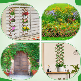 ANPHSIN pack-2 packaging ready delivery ensures safe transport to your balcony or garden