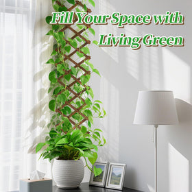 ANPHSIN pack-2 wooden lattice plants climbing supports climbing vines with space to spread