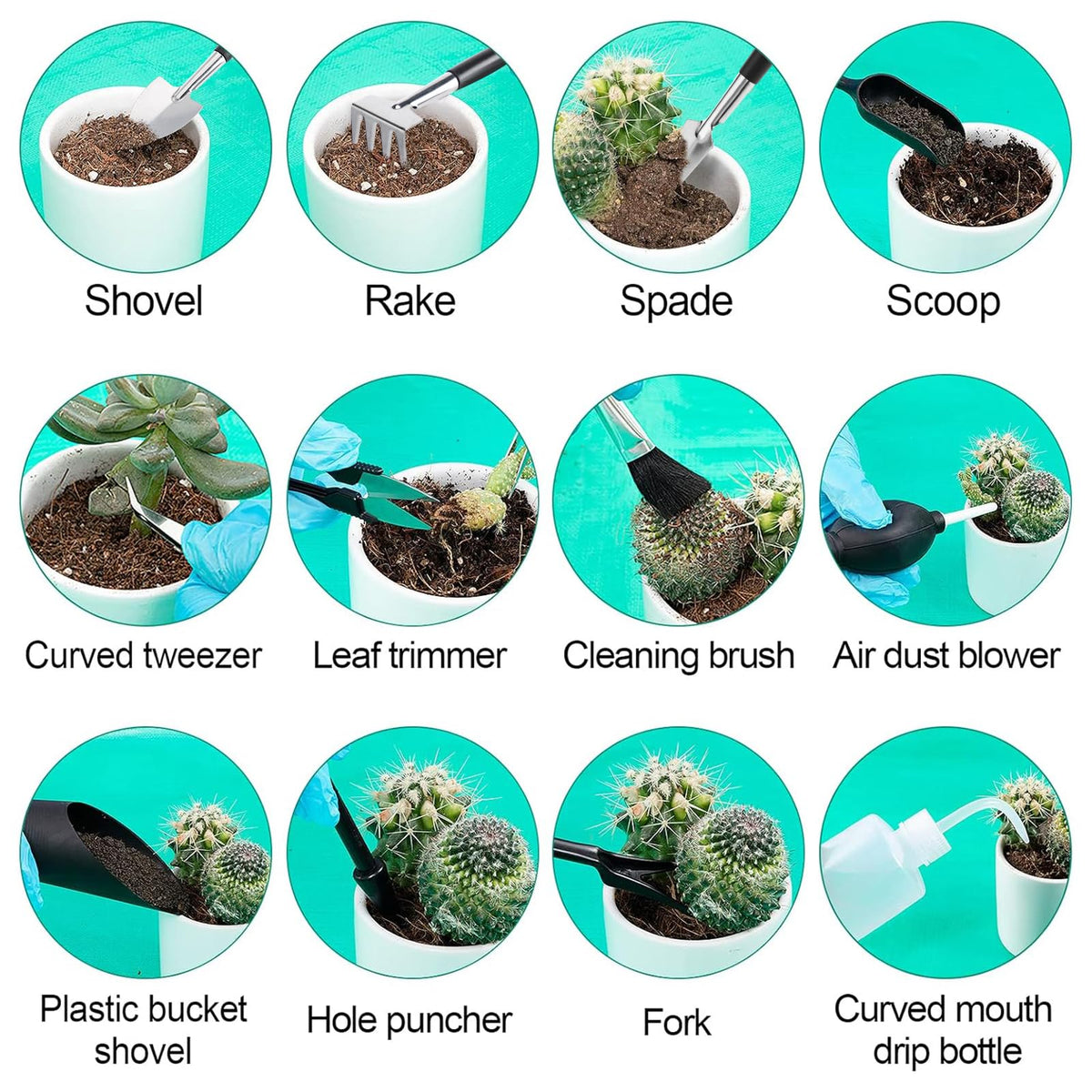 ANPHSIN plant labels help organize and identify your plants.