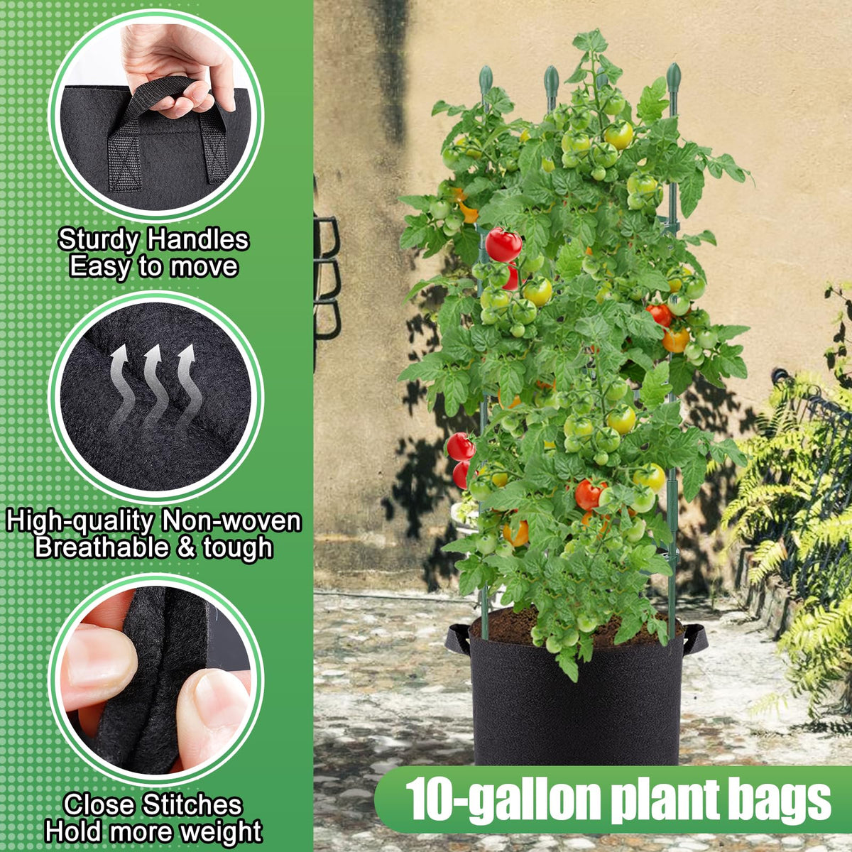 ANPHSIN ring accessories provide flexible support as plants climb and mature.