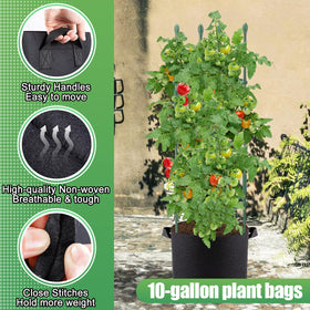 ANPHSIN ring accessories provide flexible support as plants climb and mature.