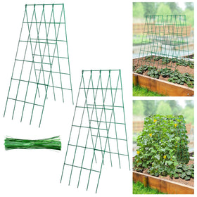 ANPHSIN stable cucumber trellis in A-frame setup boosts vertical support and space efficiency.