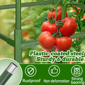 ANPHSIN 72-rod and 36-connector system keeps vines secure.