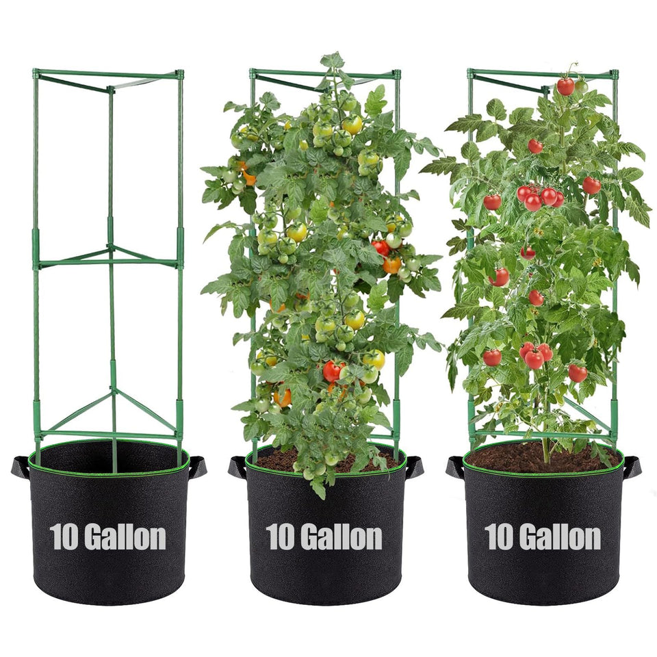 ANPHSIN triangle tomato cage with grow bags setup for space-saving vertical gardening