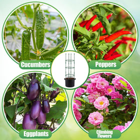 ANPHSIN weather-resistant steel tomato cage stands up to rain and wind.
