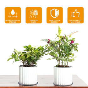 Anpuimult 8-inch plant coaster keeps pots stable while guarding floors.