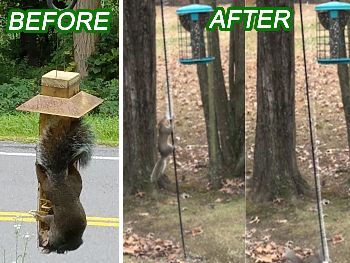 Anranmm Outdoor bird feeder accessory enhances yard decor while protecting seed