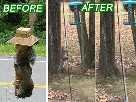 Anranmm Outdoor bird feeder accessory enhances yard decor while protecting seed