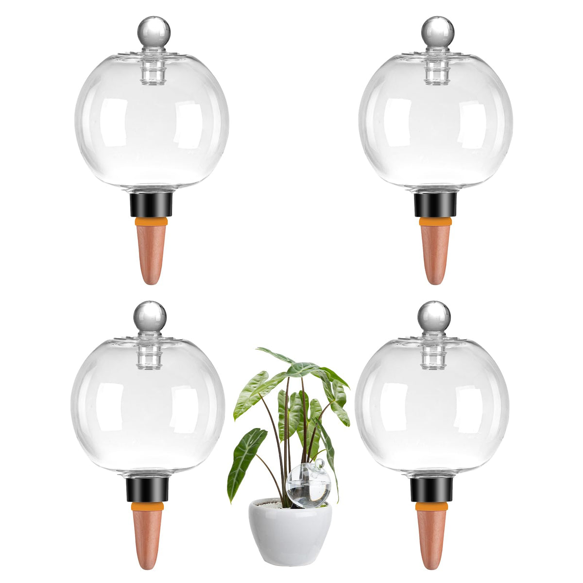 Ansberta 4-pack watering globes in use for indoor plants, promoting steady moisture.