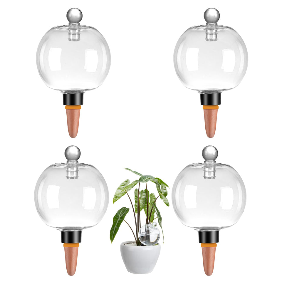 Ansberta 4-pack watering globes in use for indoor plants, promoting steady moisture.