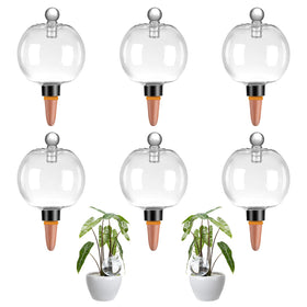 Ansberta six-pack globes in pots offer steady moisture for healthy plants