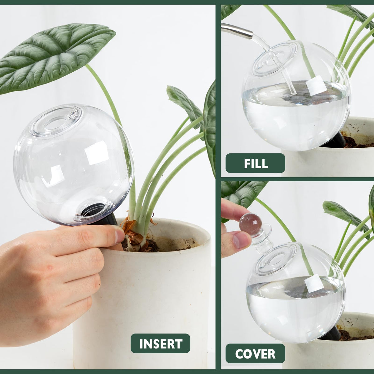 Ansberta device for indoor and outdoor plants delivers consistent moisture.
