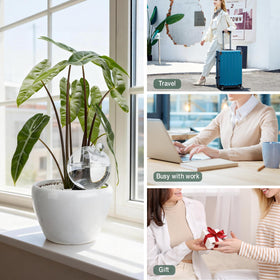 Ansberta indoor outdoor watering setup suitable for many spaces