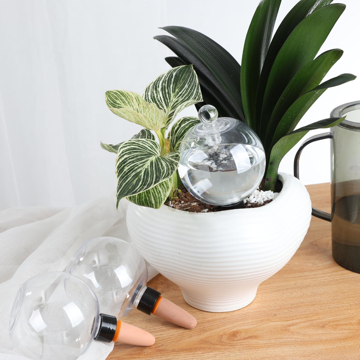 Ansberta watering globes with covers add protection and controlled release.