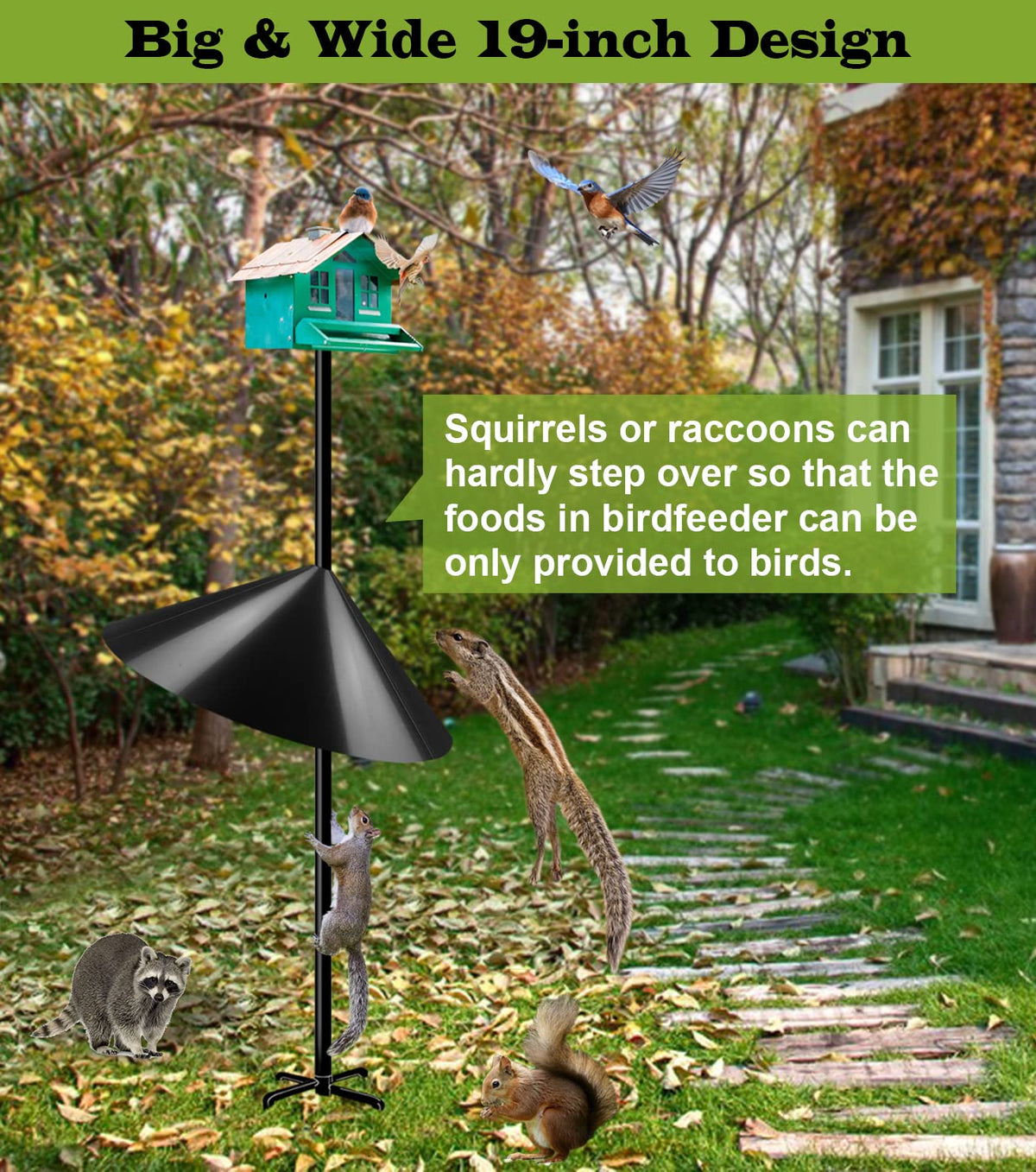 Ansionsol easy-clean squirrel deflector with glazed surface reduces grip for climbers