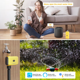 AnseTo weather-aware timer auto-skips watering during rain or snow.