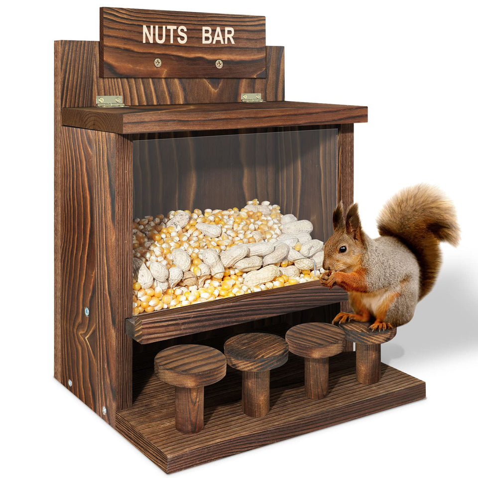 ANSTEEP carbonized squirrel feeder outdoors, durable all-weather housing for garden feeding.