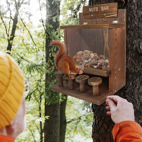 ANSTEEP cute-squirrel yard interaction invites family nature moments.