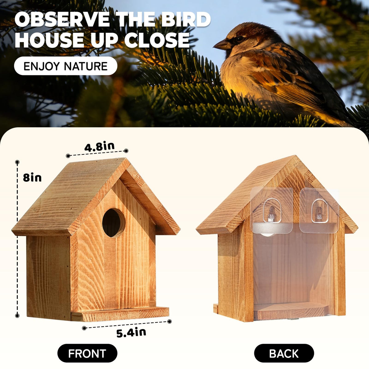 ANSTEEP window bird house with a clear-view window for close bird watching.