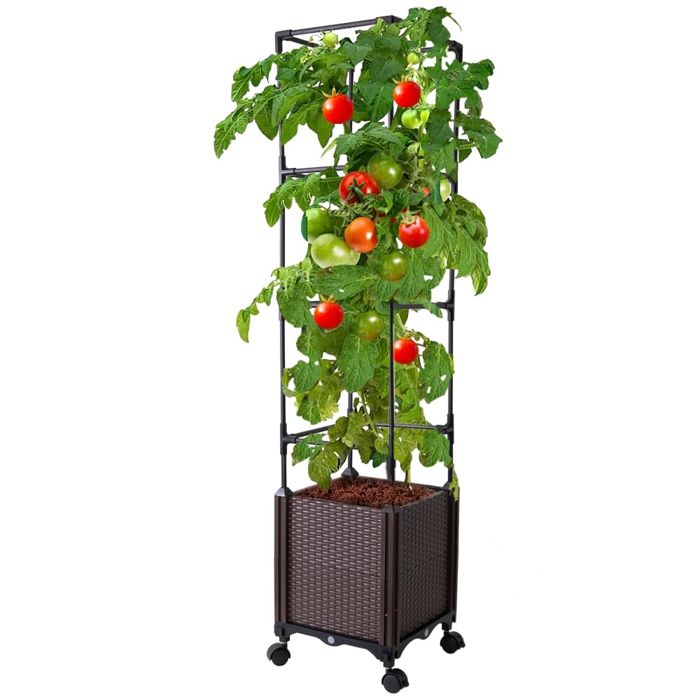 Antmoilios 56in raised garden bed with tomato trellis supports vertical growth and easier harvest.
