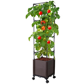 Antmoilios 56in raised garden bed with tomato trellis supports vertical growth and easier harvest.