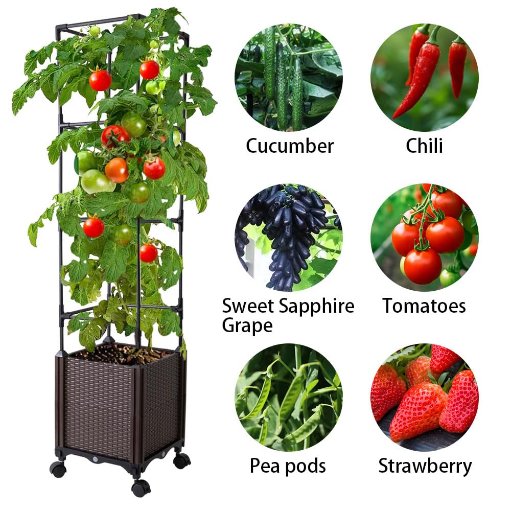 Antmoilios self-watering tomato planter reservoir keeps soil evenly moist for healthy growth.